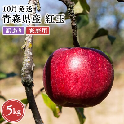 2026年10月発送　【訳あり】家庭用紅玉 約5kg【原田農園】