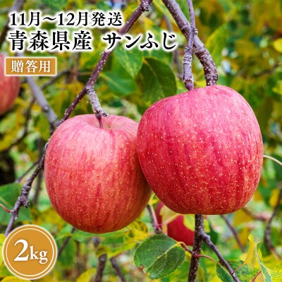2026年11月～12月発送　贈答用サンふじ 約2kg【原田農園】