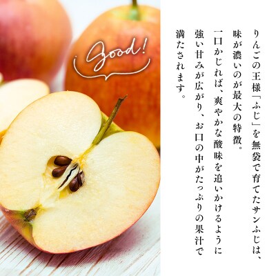 2027年1月発送　贈答用サンふじ 約2kg【原田農園】
