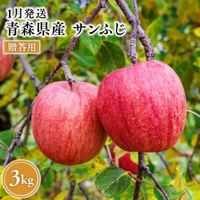 2027年1月発送　贈答用サンふじ 約3kg【原田農園】