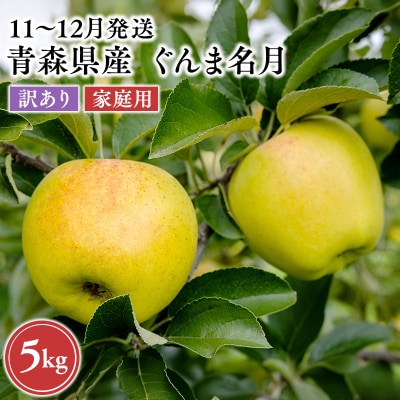 2026年11月～12月発送　【訳あり】家庭用ぐんま名月 約5kg【原田農園】