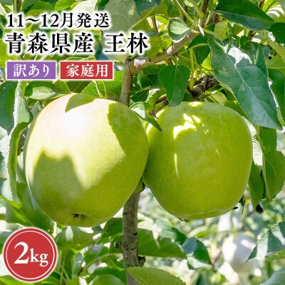 2026年11月～12月発送　【訳あり】家庭用王林 約2kg【原田農園】