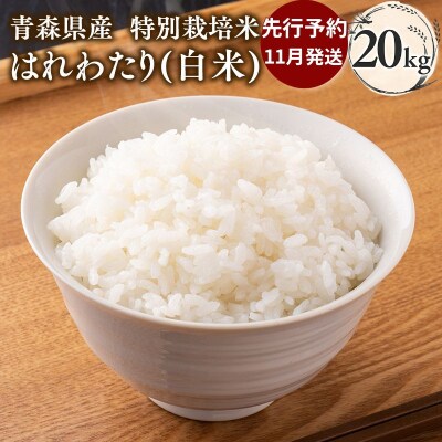 【令和8年産 先行受付 配送時期:2026年11月中旬～】特別栽培米 はれわたり白米20kg