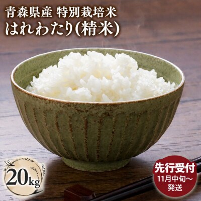 【令和8年産 先行受付 配送時期:2026年11月中旬～】特別栽培米 はれわたり白米20kg