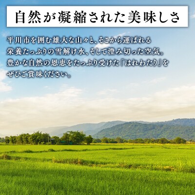 【令和8年産 先行受付 配送時期:2026年11月中旬～】特別栽培米 はれわたり白米20kg