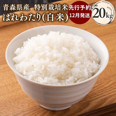 【令和8年産 先行受付 配送時期:2026年12月中旬～】特別栽培米 はれわたり白米20kg