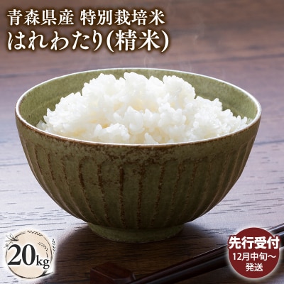 【令和8年産 先行受付 配送時期:2026年12月中旬～】特別栽培米 はれわたり白米20kg
