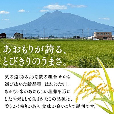 【令和8年産 先行受付 配送時期:2026年12月中旬～】特別栽培米 はれわたり白米20kg