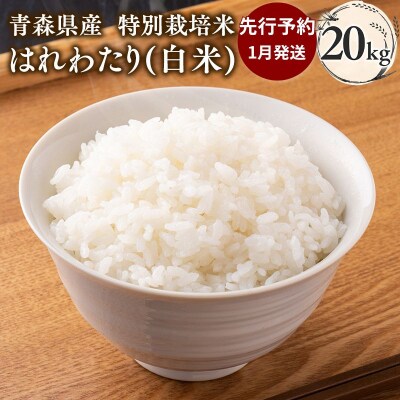 【令和8年産 先行受付 配送時期:2027年1月中旬～】特別栽培米 はれわたり白米20kg