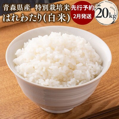 【令和8年産 先行受付 配送時期:2027年2月中旬～】特別栽培米 はれわたり白米20kg