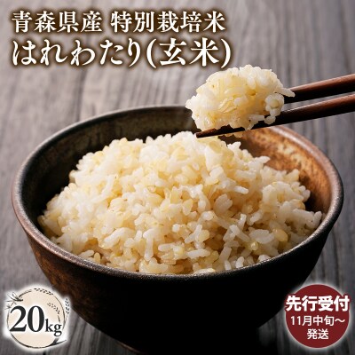 【令和8年産 先行受付 配送時期:2026年11月中旬～】特別栽培米はれわたり玄米20kg