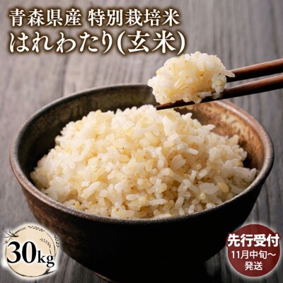 【令和8年産 先行受付 配送時期:2026年11月中旬～】特別栽培米はれわたり玄米30kg