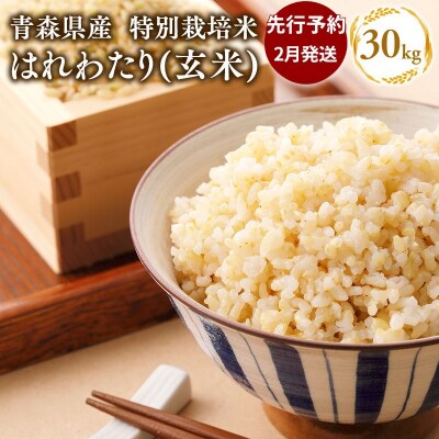【令和8年産 先行受付 配送時期:2027年2月中旬～】特別栽培米はれわたり玄米30kg