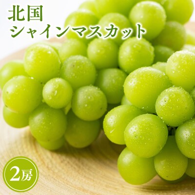 北国の冬シャインマスカット2房 【原田農園】                        