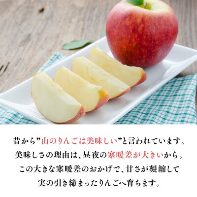 【12月中旬より発送青森県産蜜星りんごチップス 25g×3袋 りんごジュース 180ml×3本