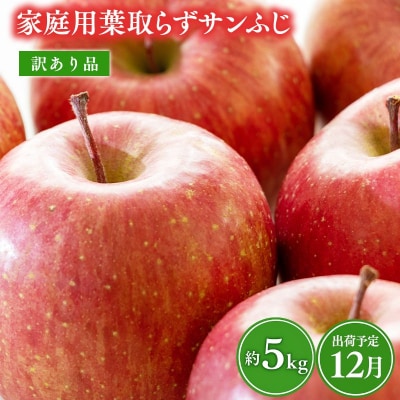 12月 訳あり 家庭用葉取らずサンふじりんご 約5kg【森山商店・青森県産・青森りんご・12月】