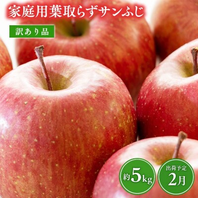 2月 訳あり 家庭用葉取らずサンふじりんご 約5kg【森山商店・青森県産・青森りんご・2月】