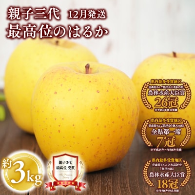 ≪12月発送≫ 親子三代最高位のはるか 約3kg 【青森県 平川市 釈迦のりんご園】