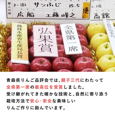≪12月発送≫ 親子三代最高位のはるか 約3kg 【青森県 平川市 釈迦のりんご園】