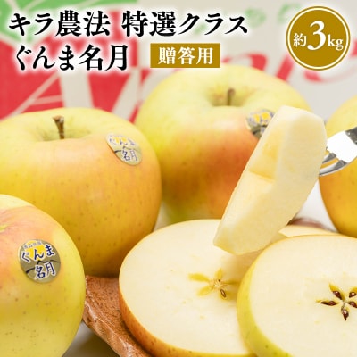 1～3月 完熟りんご ぐんま名月 約3kg 贈答用 特選クラス