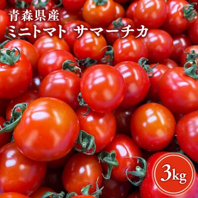 サマーチカ 3kg ミニトマト プチトマト 薄皮 フルーティー 新鮮野菜【hi-0070-002】
