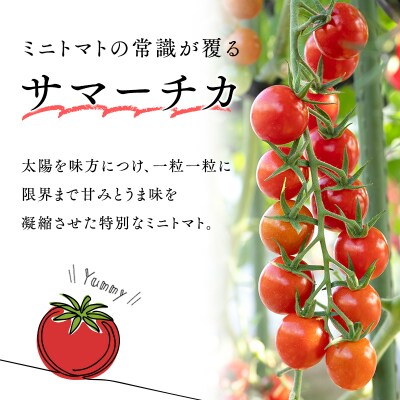 サマーチカ 3kg ミニトマト プチトマト 薄皮 フルーティー 新鮮野菜【hi-0070-002】
