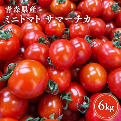サマーチカ 6kg ミニトマト プチトマト 薄皮 フルーティー 新鮮野菜【hi-0070-003】