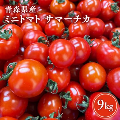 サマーチカ 9kg ミニトマト プチトマト 薄皮 フルーティー 新鮮野菜【hi-0070-004】