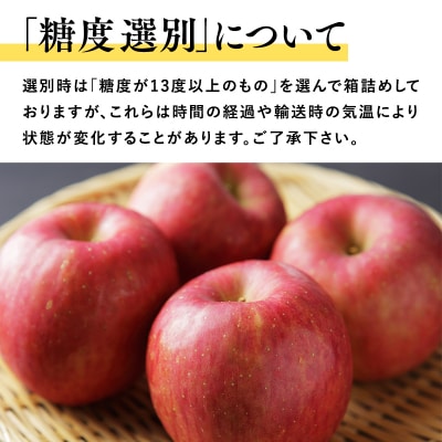 年内 糖度選別サンふじ 約5kg 【JA津軽みらい】〈hi-0001-036〉