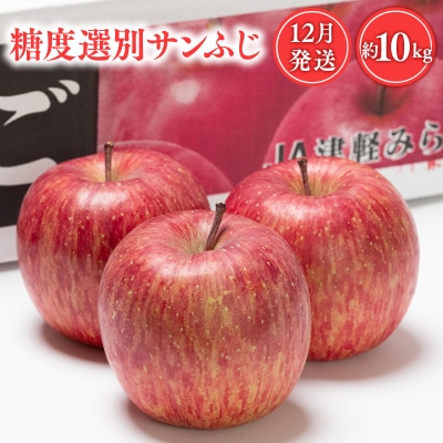 年内 糖度選別サンふじ 約10kg 【JA津軽みらい】〈hi-0001-037〉