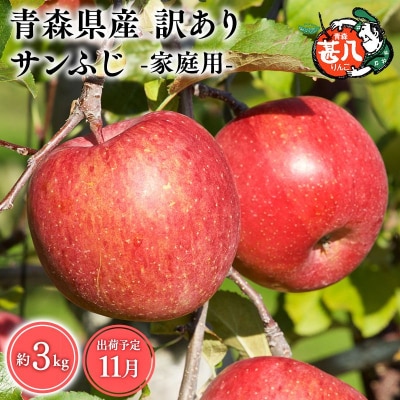 11月発送　訳あり　家庭用　甚八りんごサンふじ3kg　【マルジンサンアップル】