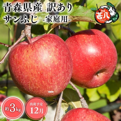 12月発送　訳あり　家庭用　甚八りんごサンふじ3kg　【マルジンサンアップル】