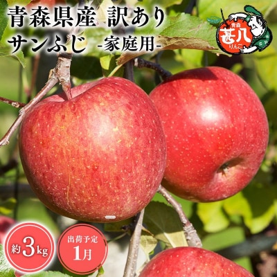 1月発送　訳あり　家庭用　甚八りんごサンふじ3kg　【マルジンサンアップル】