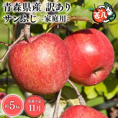 11月発送　訳あり　家庭用　甚八りんごサンふじ5kg　【マルジンサンアップル】