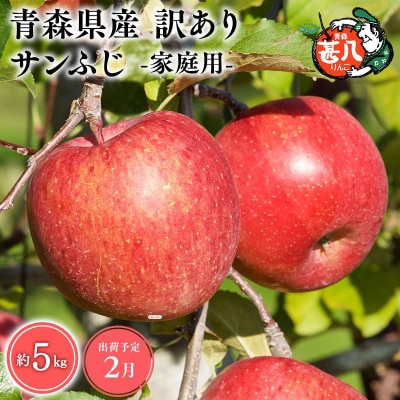 2月発送　訳あり　家庭用　甚八りんごサンふじ5kg　【マルジンサンアップル】