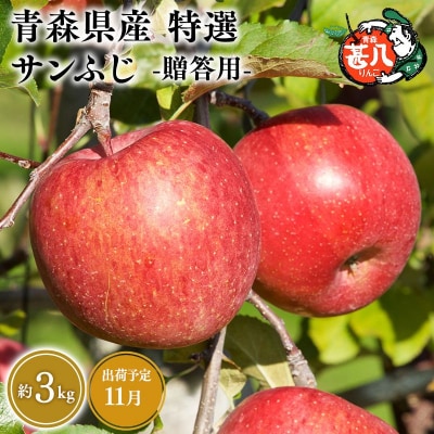 11月発送　特選　甚八りんごサンふじ3kg　【マルジンサンアップル】