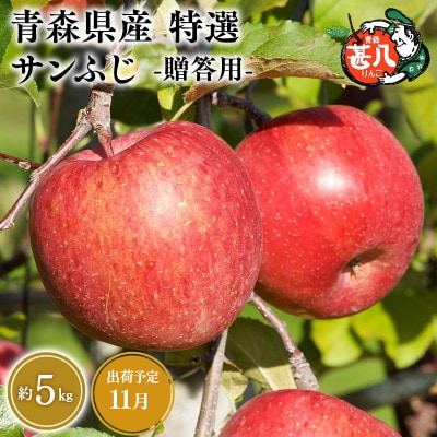 11月発送　特選　甚八りんごサンふじ5kg　【マルジンサンアップル】