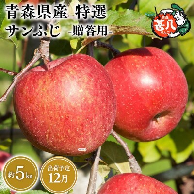 12月発送　特選　甚八りんごサンふじ5kg　【マルジンサンアップル】