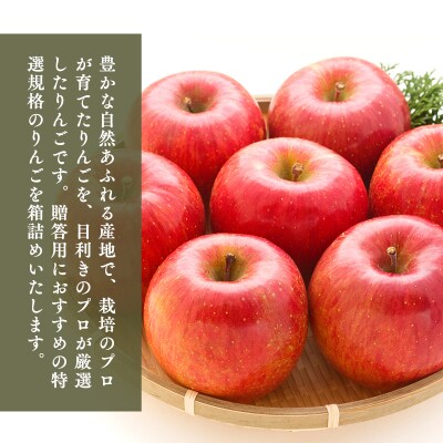 12月発送　特選　甚八りんごサンふじ5kg　【マルジンサンアップル】