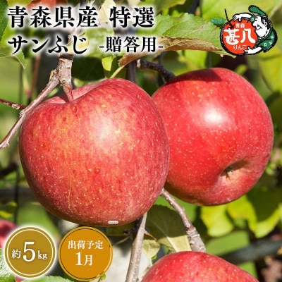 1月発送　特選　甚八りんごサンふじ5kg　【マルジンサンアップル】