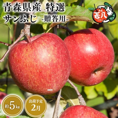 2月発送　特選　甚八りんごサンふじ5kg　【マルジンサンアップル】