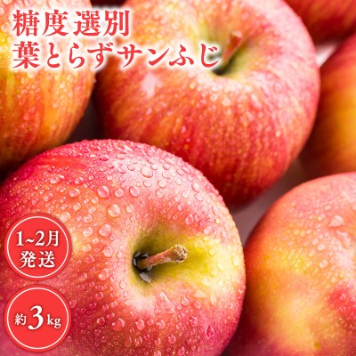 年明け 糖度選別 葉とらずサンふじ 約3kg 【 JA津軽みらい 】