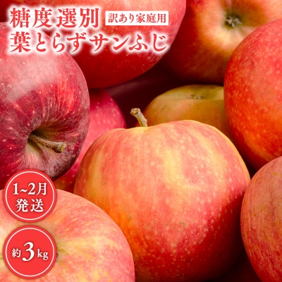 年明け 糖度選別 訳あり 葉とらずサンふじ 約3kg 【JA津軽みらい 】