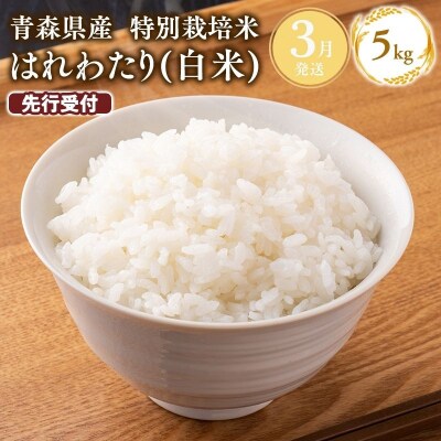 ≪令和9年3月発送≫特別栽培米 はれわたり白米5kg