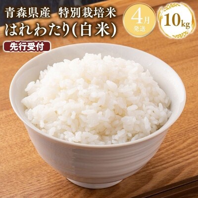≪令和9年4月発送≫　特別栽培米 はれわたり白米10kg