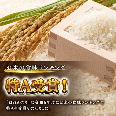 ≪令和9年4月発送≫　特別栽培米 はれわたり白米10kg