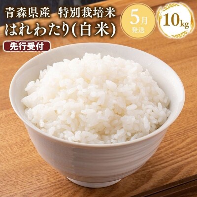 ≪令和9年5月発送≫　特別栽培米 はれわたり白米10kg
