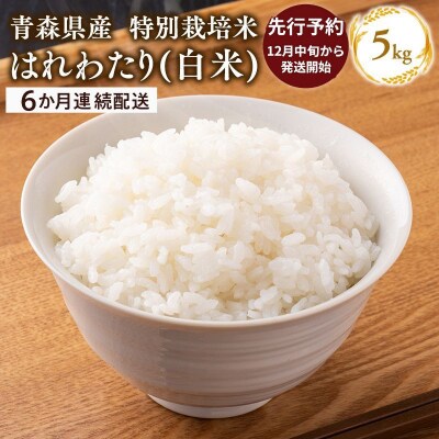 【令和8年産 配送時期:2026年12月中旬～】6ヶ月定期便特別栽培米 はれわたり白米5kg