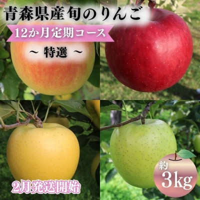 【2027年2月発送】青森県産 りんご 12ヶ月定期便 約3kg 特選