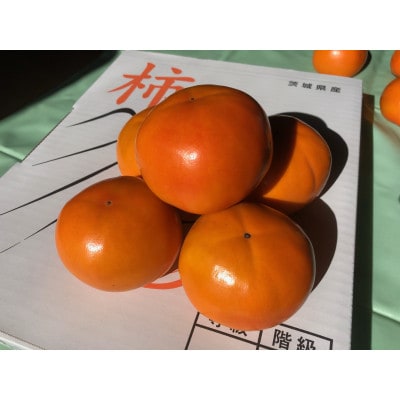富有柿2L　秋の果物　茨城の柿(個数おまかせ)